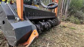 Fire Hazard reduction  with ASV rt135 forestry and Tmc Cancela TWF forestry mulcher [upl. by Mariande]