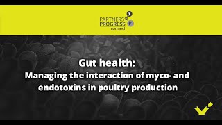 Gut health Managing the interaction of myco and endotoxins in poultry production [upl. by Goldfarb]