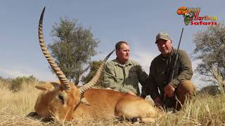 Lechwe Hunt with Warthog Safaris [upl. by Iron]