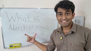 Learn What is Adenohypophysis   Adenohypophysis  The Hormone Factory of the brain in Biology [upl. by Rori991]