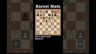 The Most Amazing Checkmate Youll Ever See [upl. by Negem]