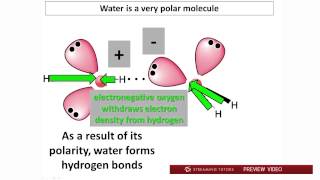 Biochemistry Water PH and Buffers Part 1 tutorial [upl. by Doraj]