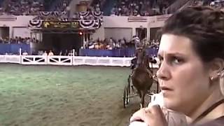 2003 Hackney Pony World Grand Championship [upl. by Odlavu]