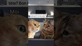 Quand elle te boude cat trending funny trendingshorts viralvideo memes [upl. by Layne]