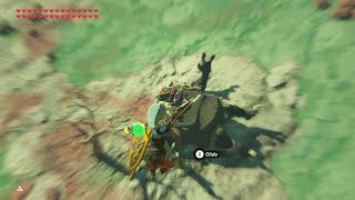 Breath of the Wild Fierce Deity Power Defeat 4 Mini Boss Without touch the Ground [upl. by Ninerb]