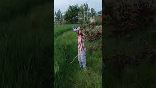 Inse to mujhe hi daradiya youtubeshorts viralvideo shorts video comedy shotrts video [upl. by Suivatram584]