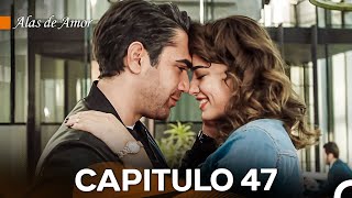 Alas de Amor Capitulo 47 Doblado En Español [upl. by Wenn]