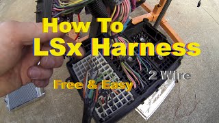 LSx Swap Harness How To Simple amp Free DIY Standalone on the Test Stand [upl. by Enoid]