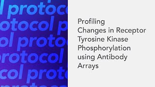 Profiling Changes in Receptor Tyrosine Kinase Phosphorylation using Antibody Arrays [upl. by Eila]