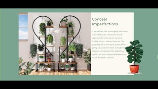 Houseplant care project [upl. by Osmund]