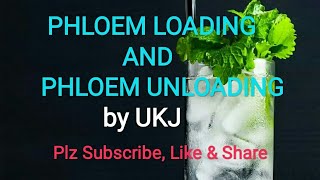 PHLOEM LOADING AND UNLOADING [upl. by Candie]