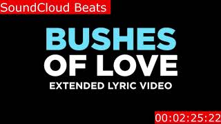 quotBUSHES OF LOVEquot  Extended Lyric Video Instrumental By SoundCloud Beats [upl. by Eeliak]