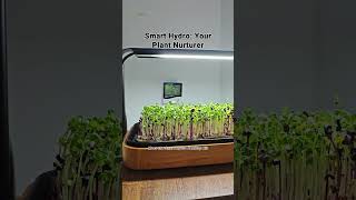 Make Your Indoor Plant Care Effortless with Smart Timers [upl. by Marler147]