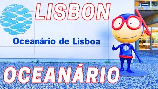 Lisbon Oceanário  the ocean our home  4K UHD [upl. by Nordin87]