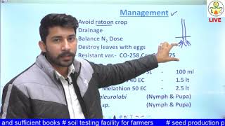 ENTO 311 Lecture 28 Sugarcane Pests [upl. by Doy]