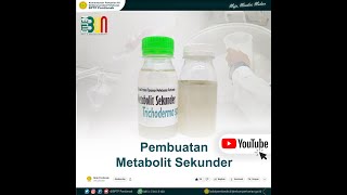 Pembuatan Metabolit Sekunder [upl. by Etnahsa]