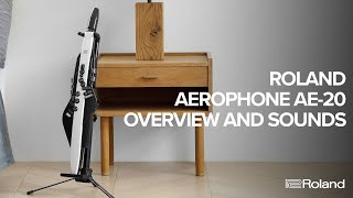 Roland Aerophone AE20 Overview and Sound Examples [upl. by Yrro]