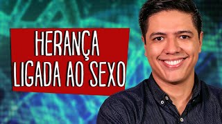 HERANÇA LIGADA AO SEXO Parte 01  HERANÇA SEXUAL  Genética  Prof Kennedy Ramos [upl. by Entwistle]