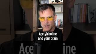 Acetylcholine and your Brain 🧠 [upl. by Bridwell]