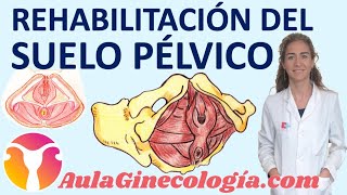 REHABILITACIÓN DEL SUELO PÉLVICO QUÉ ES INDICACIONES RESULTADOS  Ginecología y Obstetricia [upl. by Oknuj886]