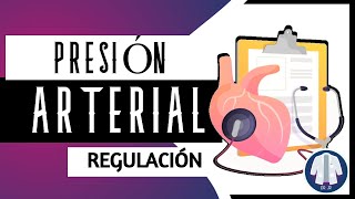 Regulación de la Presión arterial  🔵 EXPLICADO  Dr JR [upl. by Fabron]