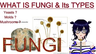 Fungi microorganism now you know Mpart4 [upl. by Jeana]