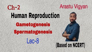 Gametogenesis Spermatogenesis Human Reproduction Ch2 cbse neet neet2025 [upl. by Mcclure]