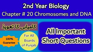 Important Questions of chapter 20 Chromosomes and DNA of 2nd year biology [upl. by Kristofer]