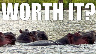 Lake Naivasha Worth It Hippo and Birders Dream [upl. by Ttessil]