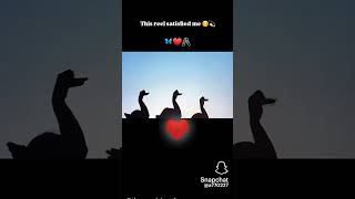 this is a satisfaction song for heart ❣️ shorts video for satisfaction ❤️🤞❤️ [upl. by Ayanej]