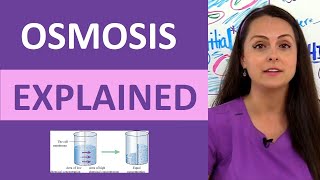 Osmosis Explained Solutes and Osmolarity  What is Osmosis Nursing School Review NCLEX [upl. by Anyale]