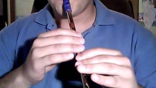 Si Bheag si Mhor  tin whistle [upl. by Suoirtemed]