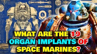 Space Marine Anatomy  What Are The 19 Implants That Every Space Marine Gets What Is The Gene Seed [upl. by Stuart]