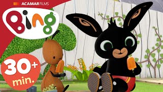 5 x Episodi Completi  Bing Episodi Completi  30minuti  Bing Italiano [upl. by Nerak]