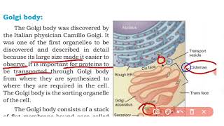 cytoplasmic organelles  cells and tissues  class 9th biology Sindh board new book [upl. by Yelsehc]