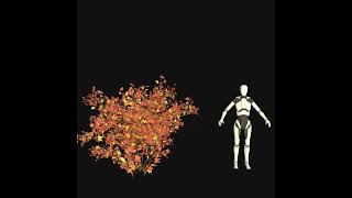 Autumn Vegetation Pack 01 — ShrubV31 3dmodeling gamedev unity speedtree 3denvironment [upl. by Enoid106]