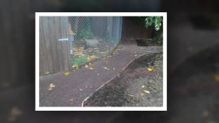 Garden Services  Acorn Landscaping [upl. by Ailic]