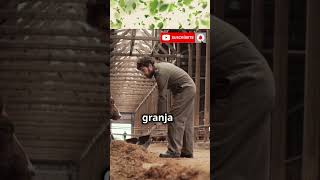 Agricultura biodinámica descúbrelo reels youtubeshorts shortsvideo tiktok like love tiktok [upl. by Ohare]