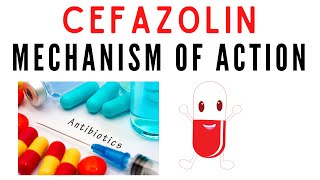 Cefazolin  Uses mechanism of action [upl. by Heady]