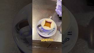 L’affogato al caffè più famoso del Mondo food [upl. by Haodnanehs]