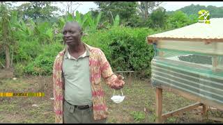 REPORTAGE  Fabrication du savon à la bave descargot [upl. by Aynodal]