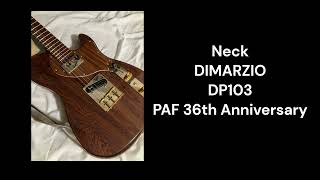 Tone Test  DiMarzio DP103  Low Gain Lead Tone  Kino mort  20240703 [upl. by Akinirt]