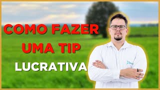 TERMINAÇÃO INTENSIVA A PASTO TIP  Sistema de ENGORDA [upl. by Ayle]