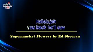 Supermarket Flowers Karaoke by Ed Sheeran [upl. by Ahsiened202]