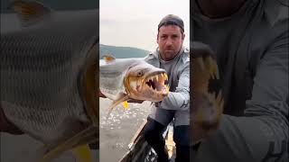 Fishers 😃😃fish fisherman fishinglife fishing facts funny [upl. by Annaitat]