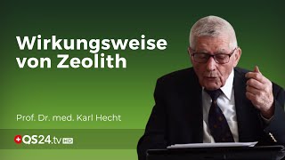 Zeolith im Körper Wirkungsweise nach der Einnahme  Prof em Prof Dr med Karl Hecht  QS24 [upl. by Rengaw]