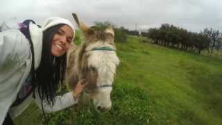 La Sierra del Ecuador va MasAlláDeLaPostal cuando descubres El Sabor de mi Ecuador en cada rincón [upl. by Perkins548]