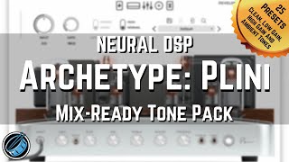 Neural DSP Archetype Plini  MixReady Tone Pack [upl. by Ayotyal974]