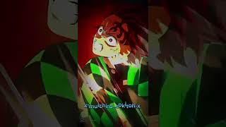 misery meat demonslayer hashiras anime kimetsunoyaiba deamonslayer animememe tanjiro [upl. by Llennor506]