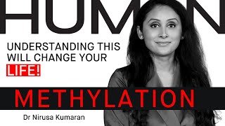 Unlock the Power of Methylation for Optimal Health and Longevity [upl. by Mahtal466]